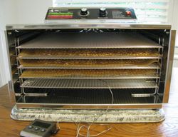 Dehydrator interior
