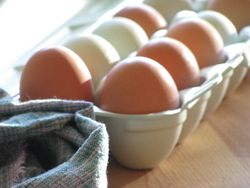 Pastured eggs