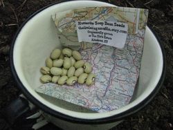 Hutterite soup beans