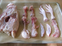 Seely's ark chicken soup pac