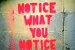 Notice what you notice