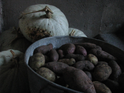 Sweet meat squash and potatoes