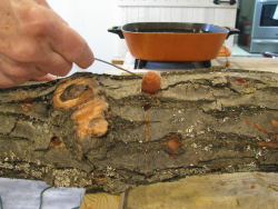 Leaning silo applying wax to logs