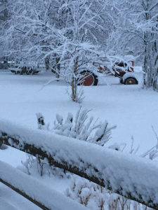 First heavy snowfall 2018 front yard